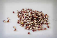 Load image into Gallery viewer, 2lb Bag of Purple Popcorn